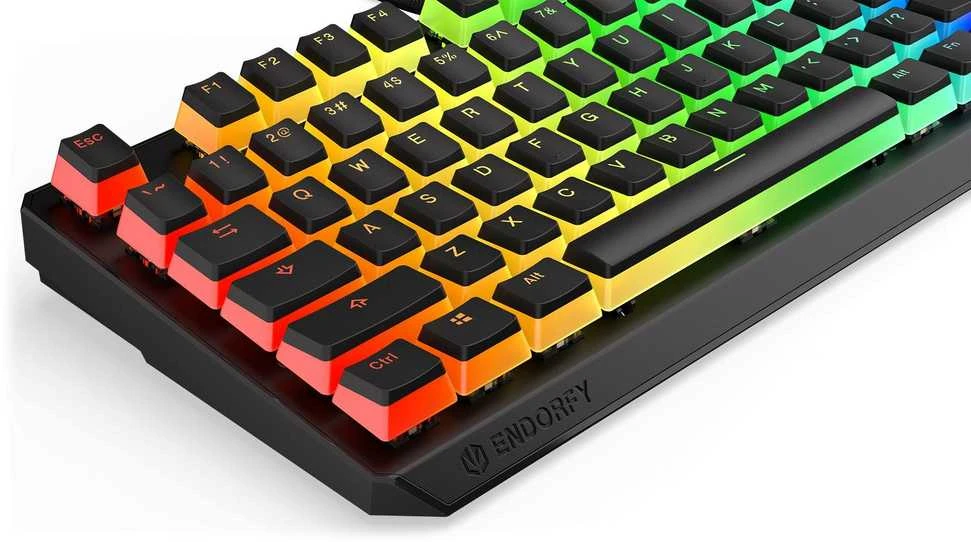 Endorfy Thock TKL belaidė mechaninė klaviatūra su RGB Pudding Edtion (US, Kailh Raudona Switch)