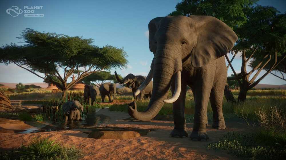 „Frontier Developments Plc Planet Zoo“ konsolės leidimas „XBOX Series X“