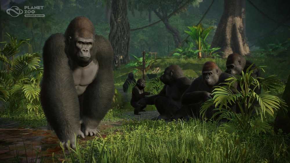 „Frontier Developments Plc Planet Zoo“ konsolės leidimas „XBOX Series X“