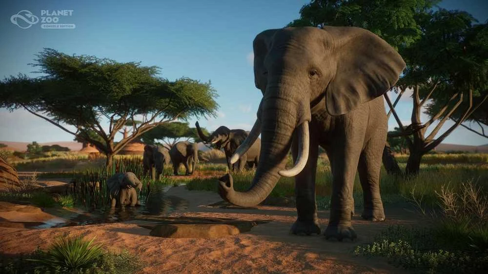 Frontier Developments Plc Planet Zoo Console Edition PS5