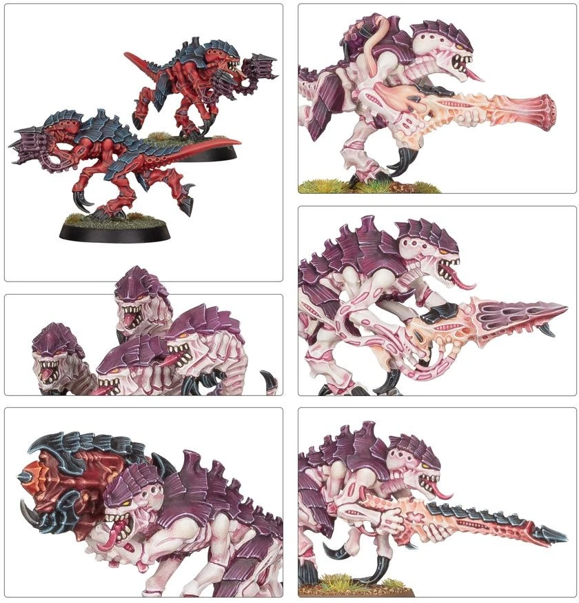 Konstruktorius Tyranids: Termagants Games Workshop, 79 d.