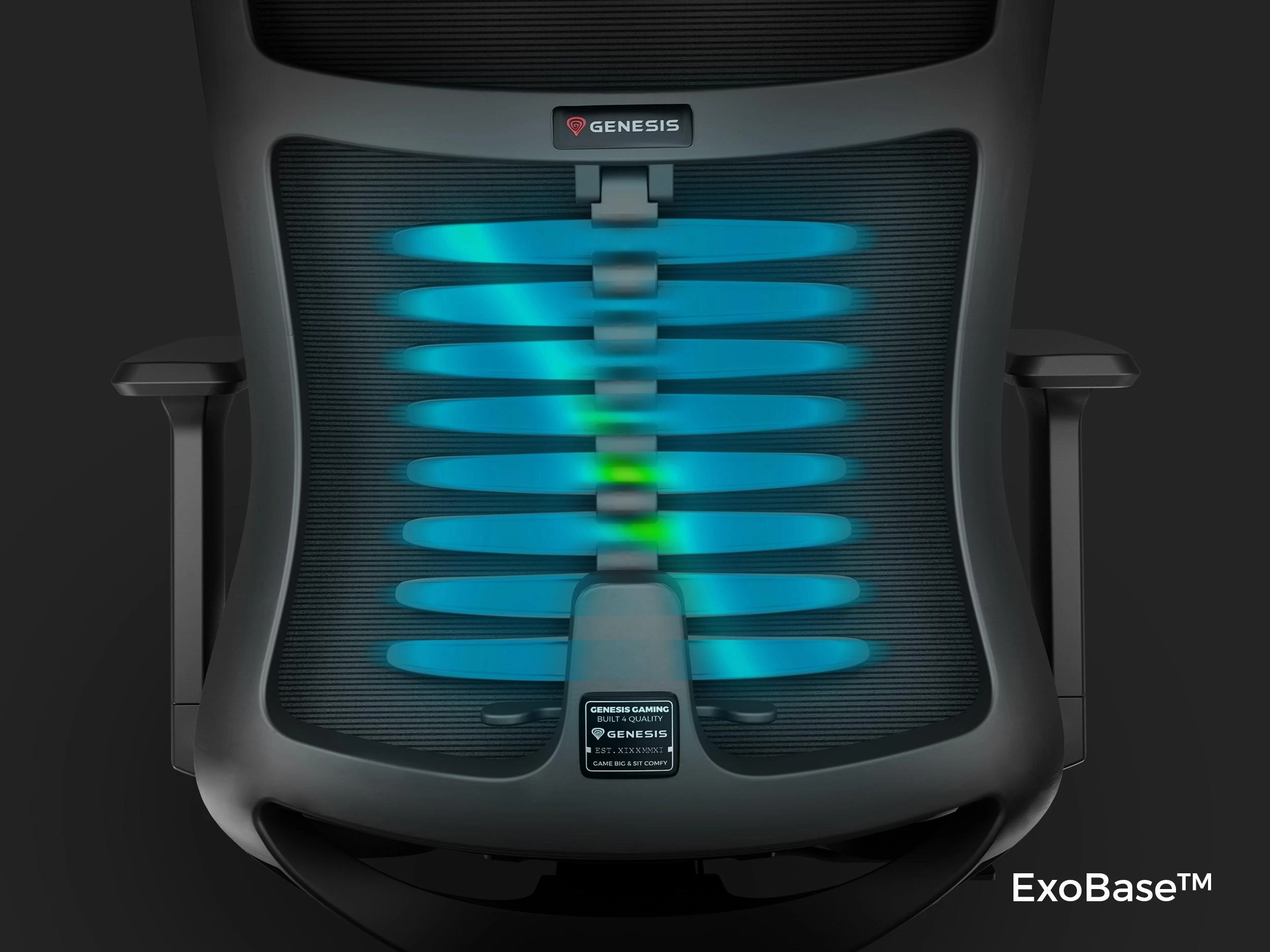 Genesis Ergonomiška žaidimų kėdė Astat 200 G2, Juoda