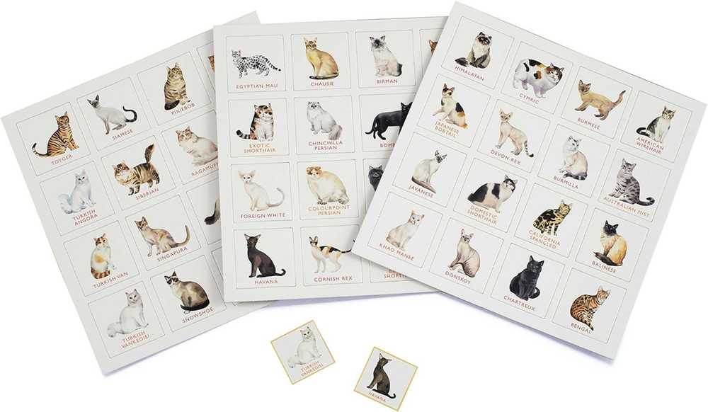 Marcel George Laurence King Publishing Cat Bingo