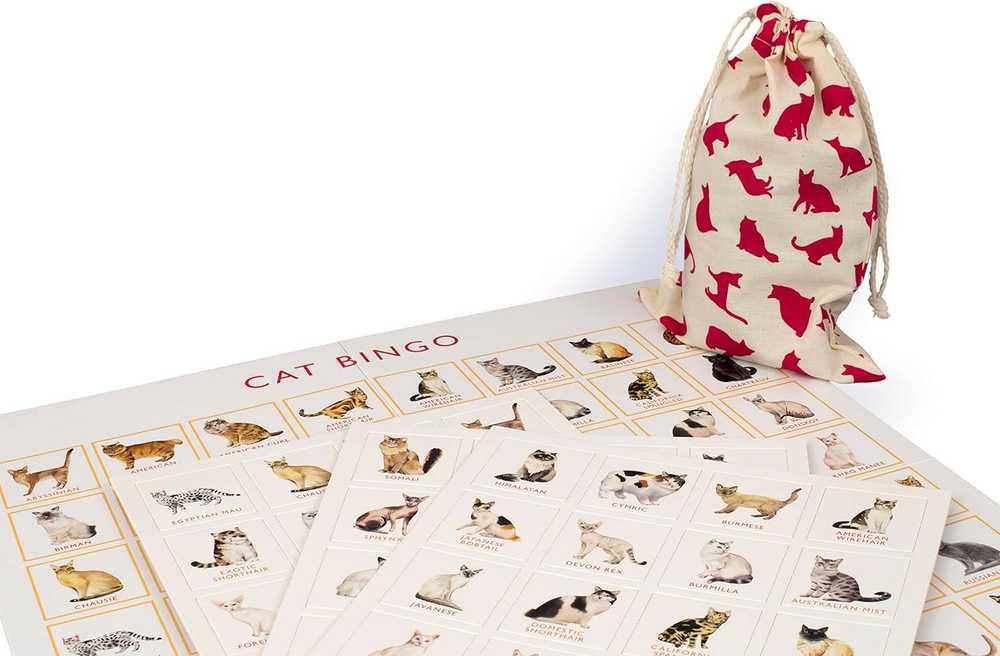 Marcel George Laurence King Publishing Cat Bingo