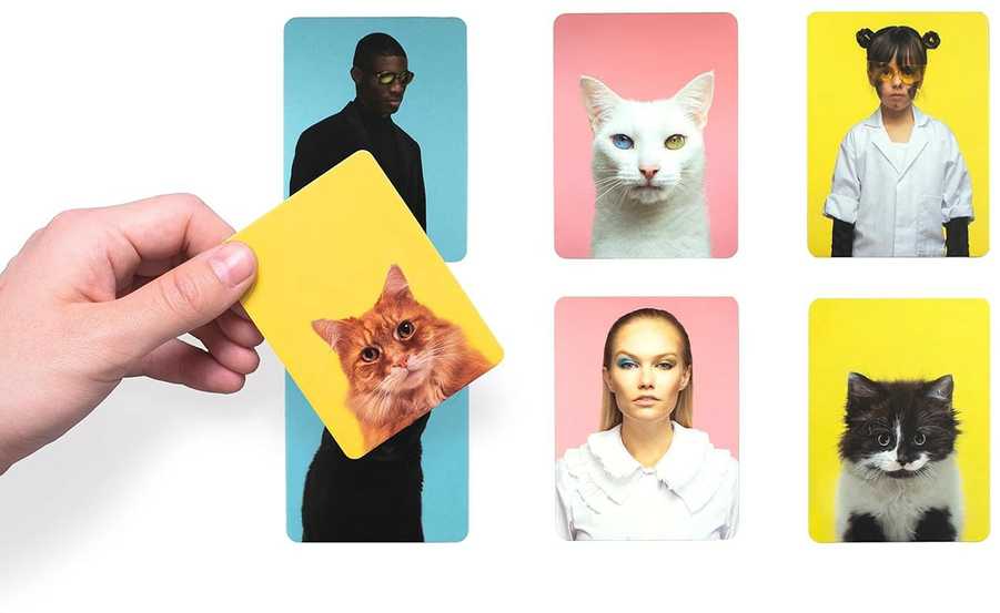 Gerrard Gethings Laurence King Publishing Do You Look Like Your Cat?