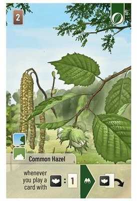 Lookout Games Forest Shuffle: Woodland Edge