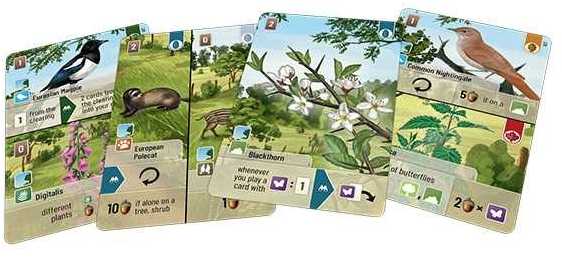 Lookout Games Forest Shuffle: Woodland Edge