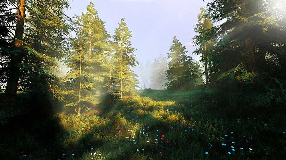 Maximum Games Hunting Simulator 2