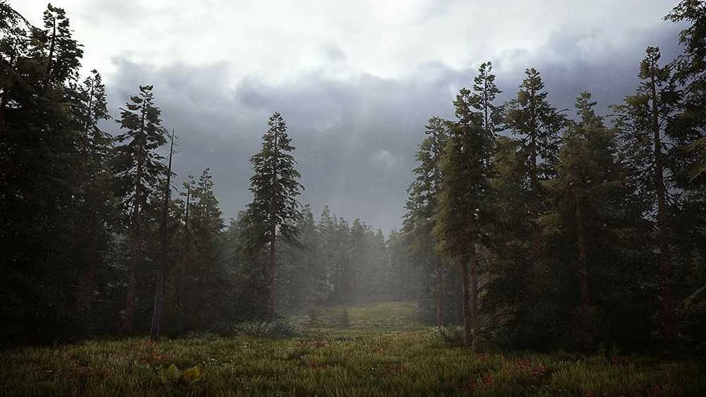 Maximum Games Hunting Simulator 2
