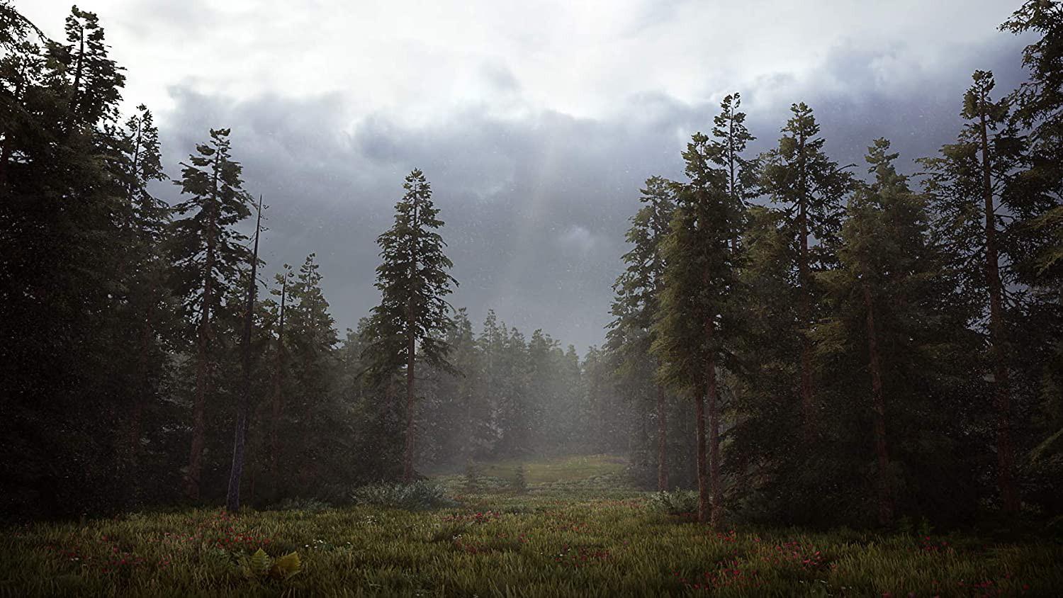 Nacon Maximum Games Hunting Simulator 2 PS4