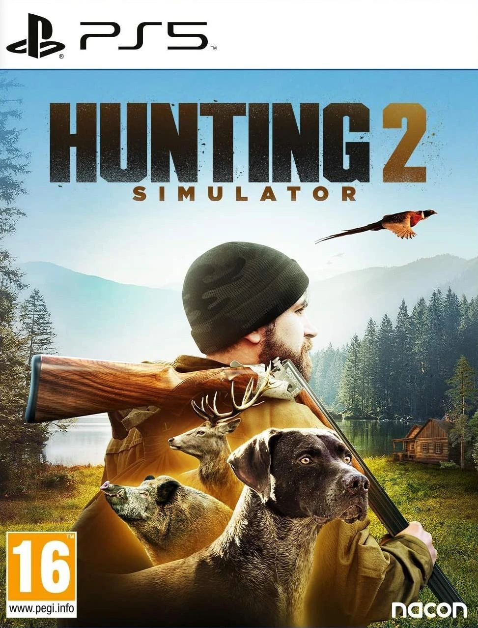 Maximum Games Hunting Simulator 2 PS5