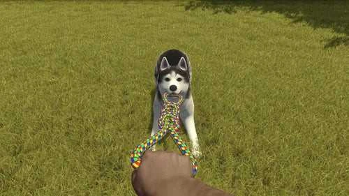 Merge Games Sujungti Games House Flipper: Pets Edition