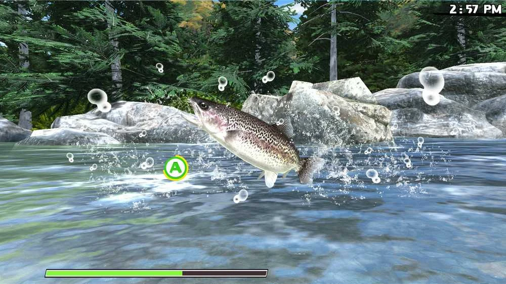 Natsume Reel Fishing: Road Trip Adventure