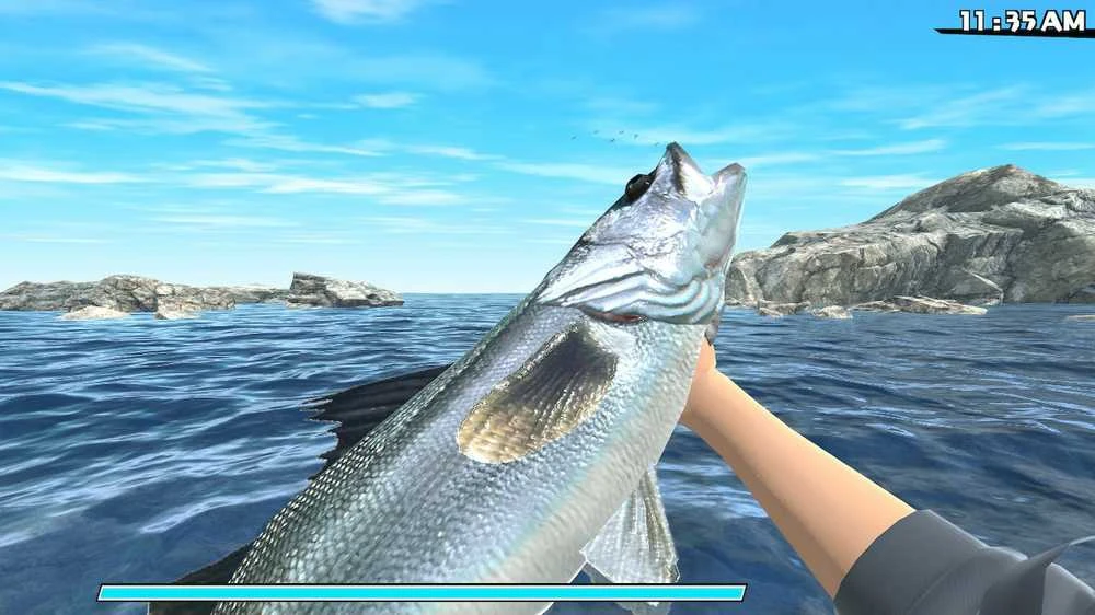 Natsume Reel Fishing: Road Trip Adventure