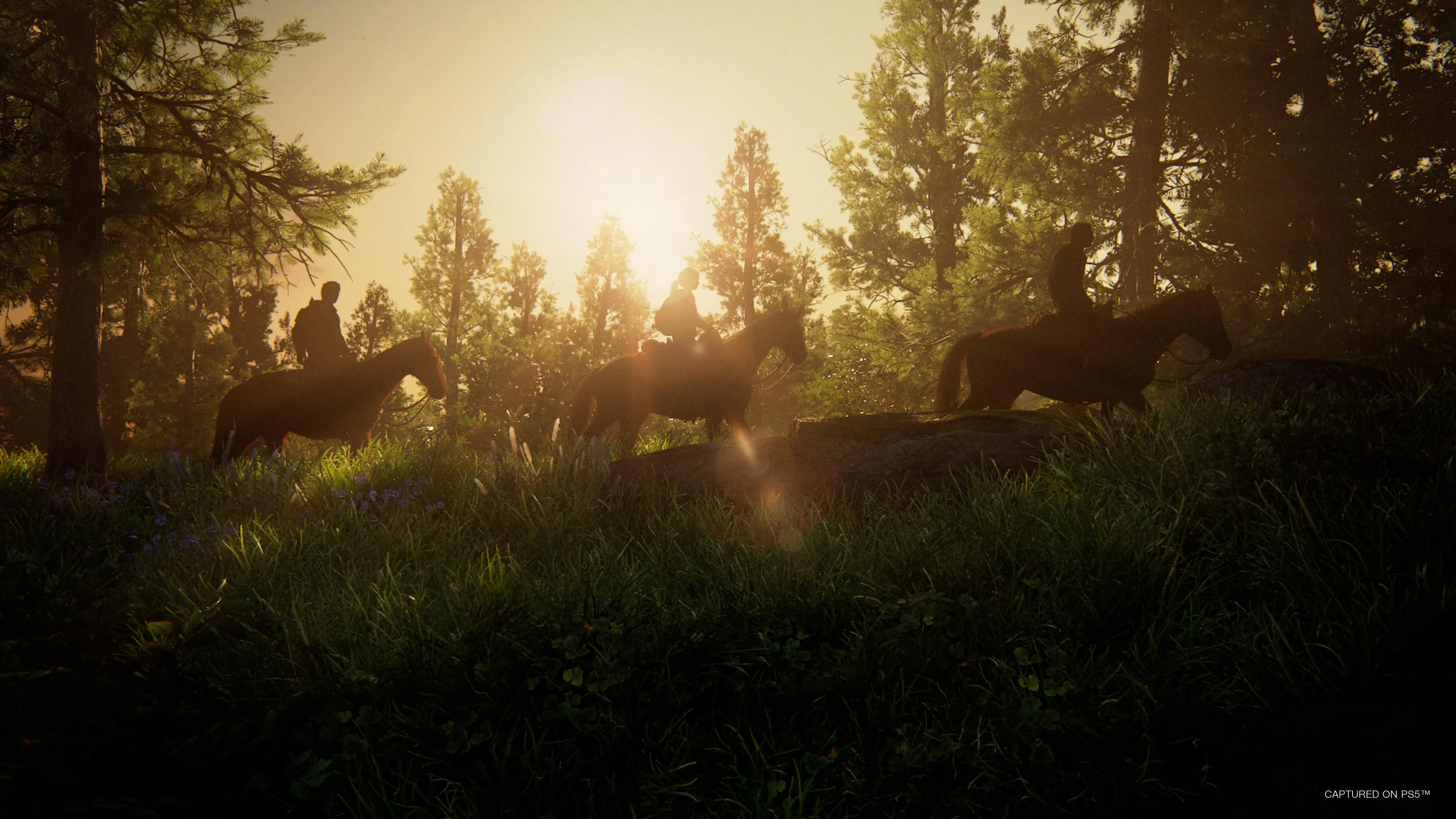 Naughty Dog Paskutinis iš mūsų, I dalis