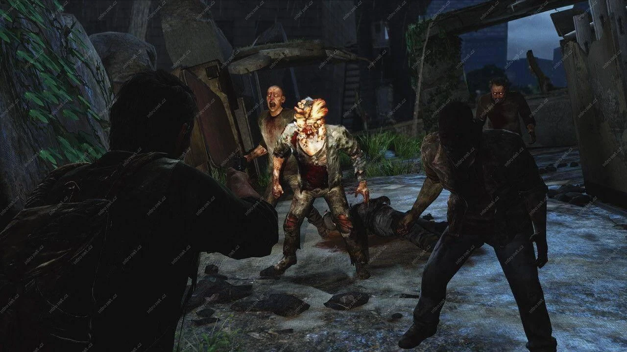 Naughty Dog The Last of Us: Remastered