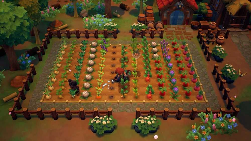 Nintendo Phoenix Labs Fae Farm