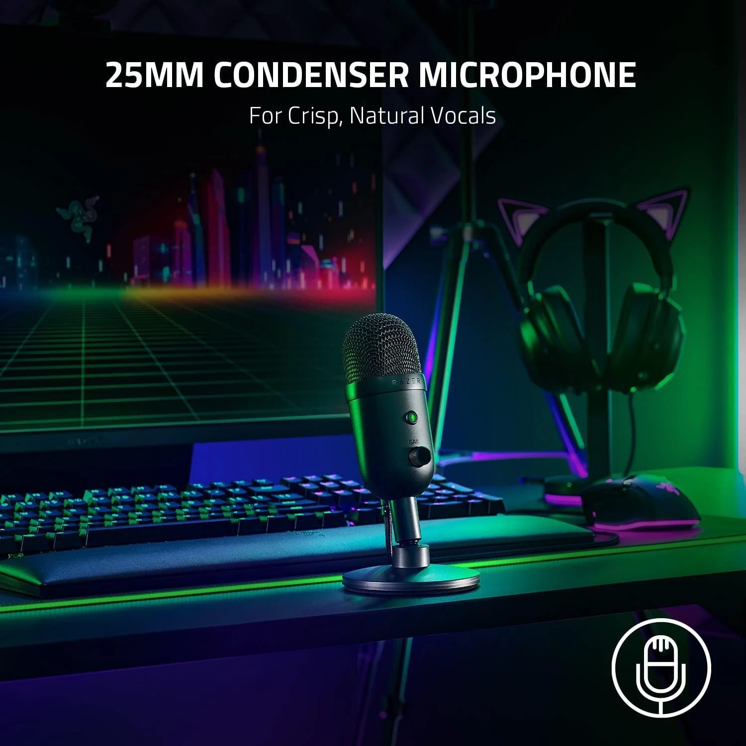 Razer | Srautinio perdavimo mikrofonas | Seiren V2 X | Juodas | Laidinis