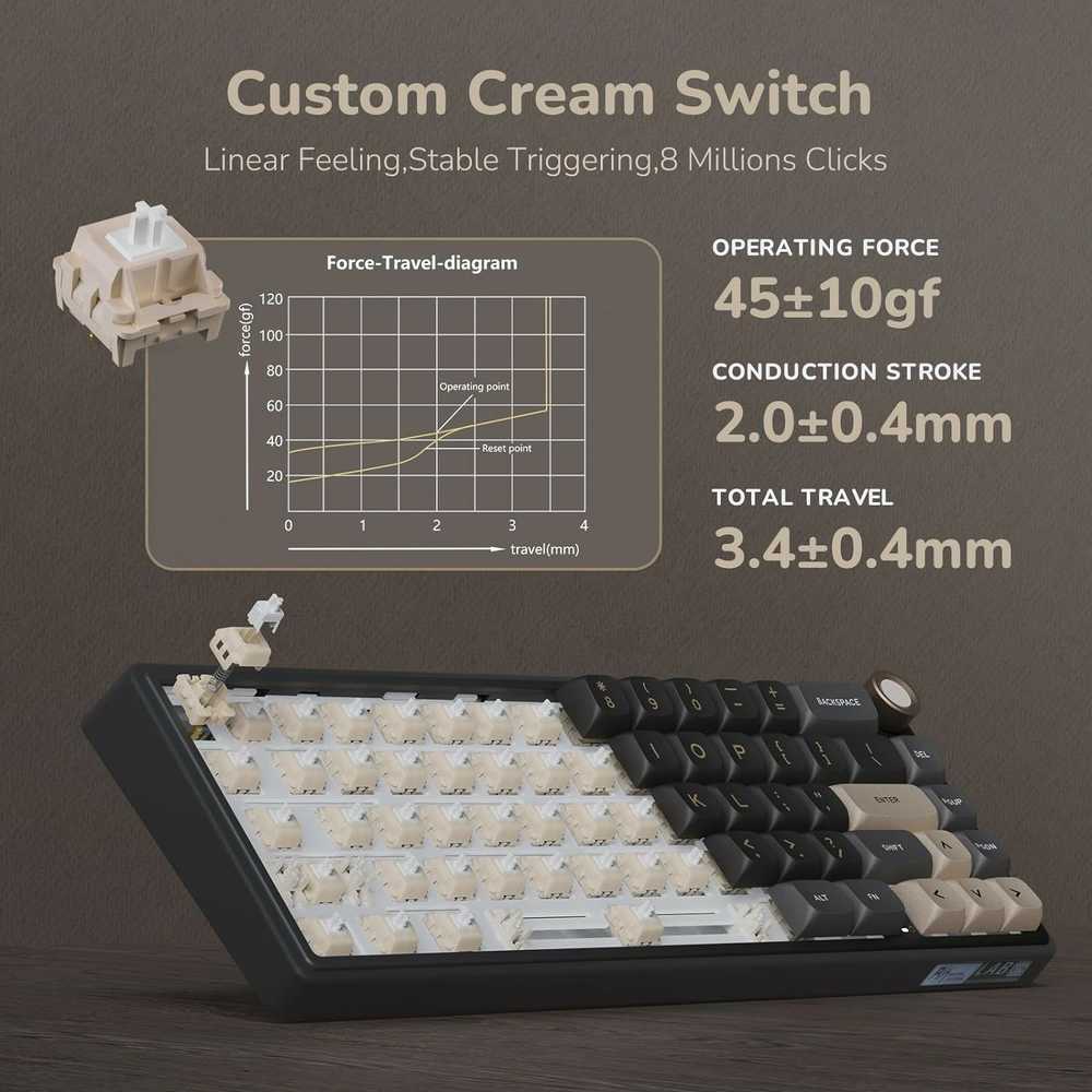 Royal Kludge R65 RGB Phantom laidinė mechaninė klaviatūra | 60%, Brown switches, US