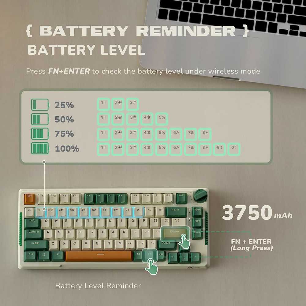 Royal Kludge RH81 Time machine belaidė mechaninė klaviatūra | 75% Hot-swap, RGB, Brown Switches, US