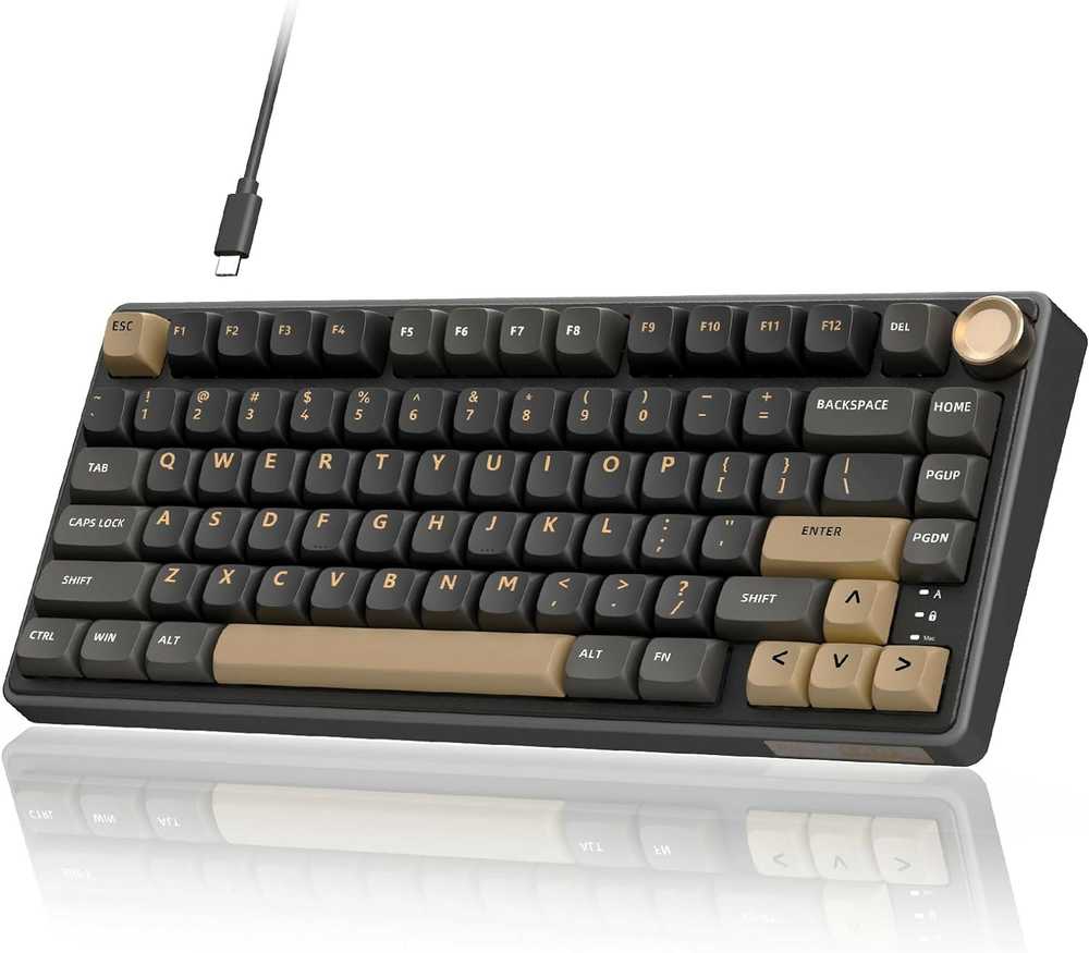 „Royal Kludge RK R75 RGB Phantom“ laidinė klaviatūra | 75%, karštojo keitimo, rudi jungikliai, JAV