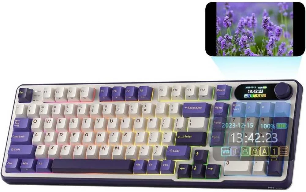 „Royal Kludge RK-S98 RGB Blackberry“ klaviatūra | 96%, karšto keitimo, žalios spalvos jungikliai, JAV