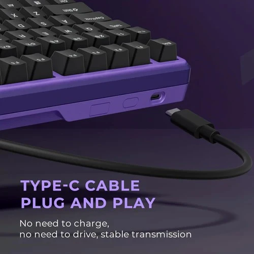 Royal Kludge RK X87 Blackberry Mousse laidinė klaviatūra| 87%, Hot-swap, Kreminis switches