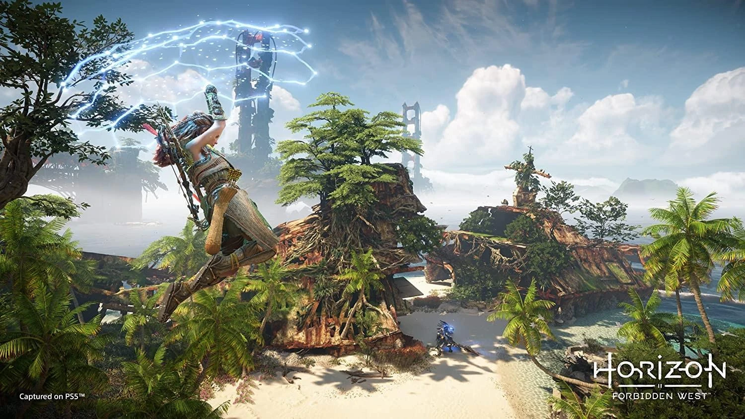 Sony Horizon Forbidden West PS5