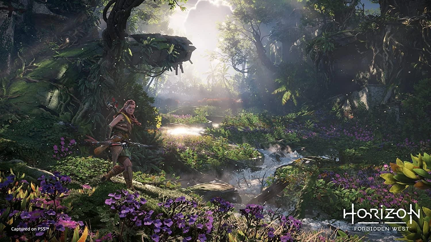 Sony Horizon Forbidden West PS5