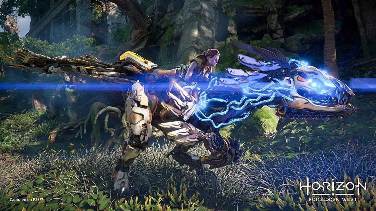 Sony Horizon Forbidden West PS5