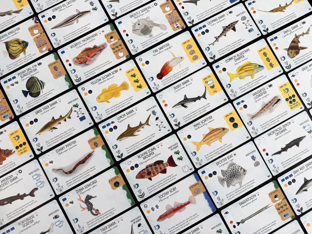 Stonemaier Games Finspan: Sharks & Reefs