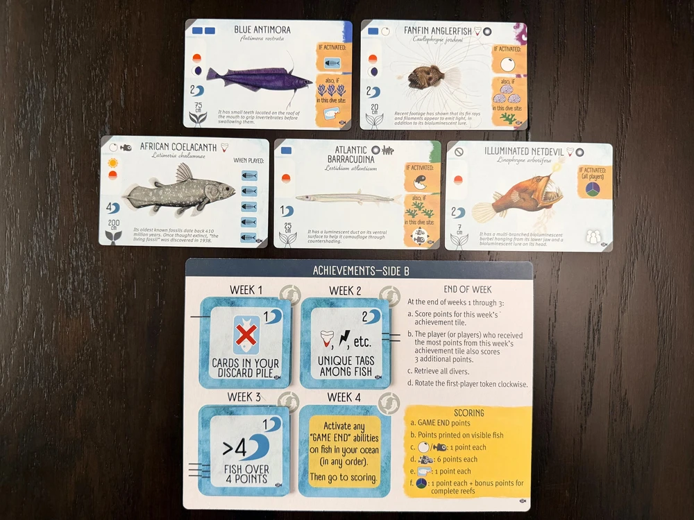 Stonemaier Games Finspan: Sharks & Reefs