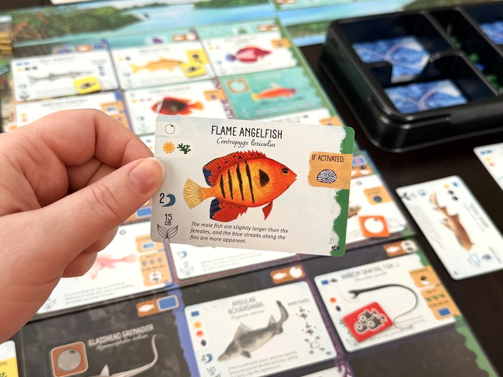 Stonemaier Games Finspan: Sharks & Reefs