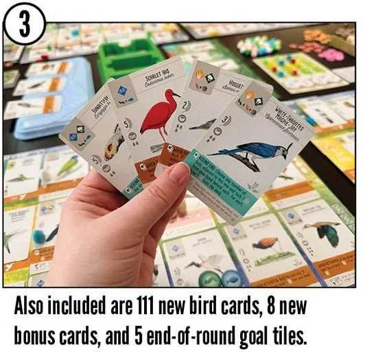 Stonemaier Games Wingspan: Americas Expansion