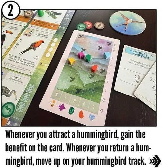 Stonemaier Games Wingspan: Americas Expansion