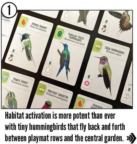 Stonemaier Games Wingspan: Americas Expansion