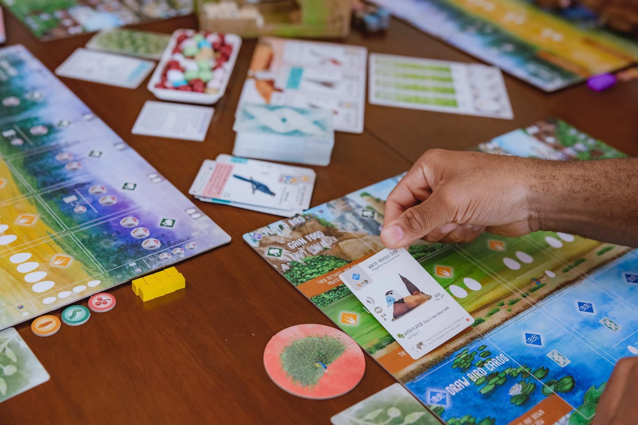 Stonemaier Games Wingspan Asia