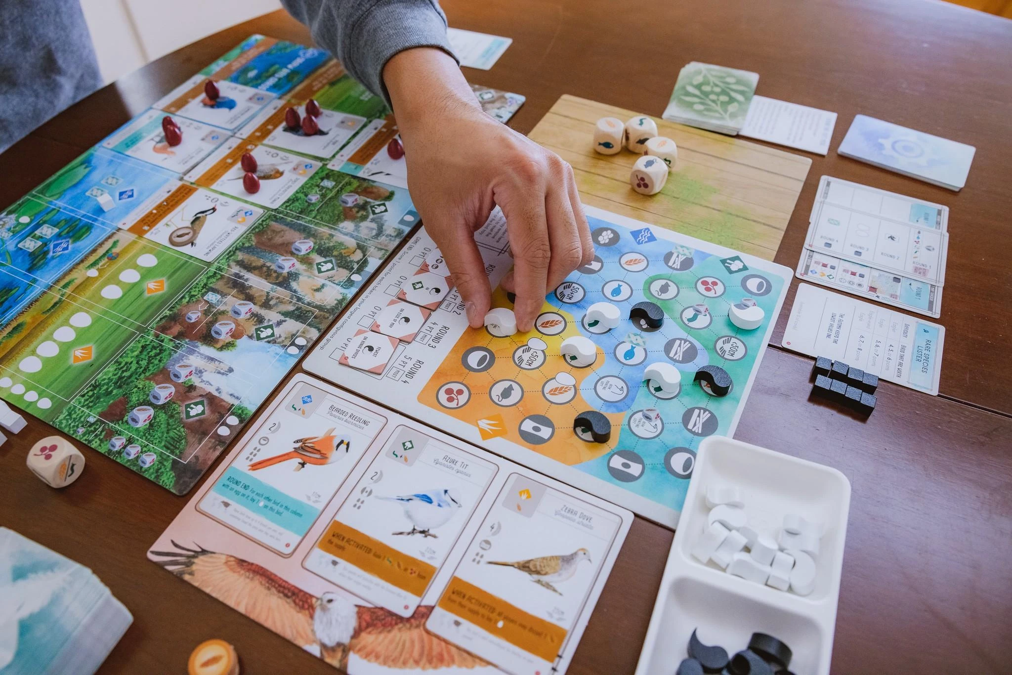 Stonemaier Games Wingspan Asia