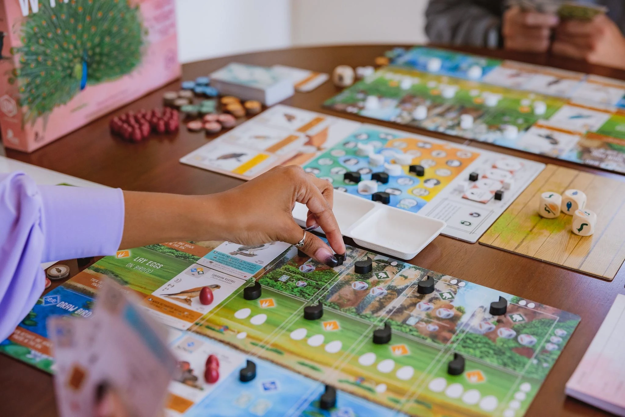 Stonemaier Games Wingspan Asia
