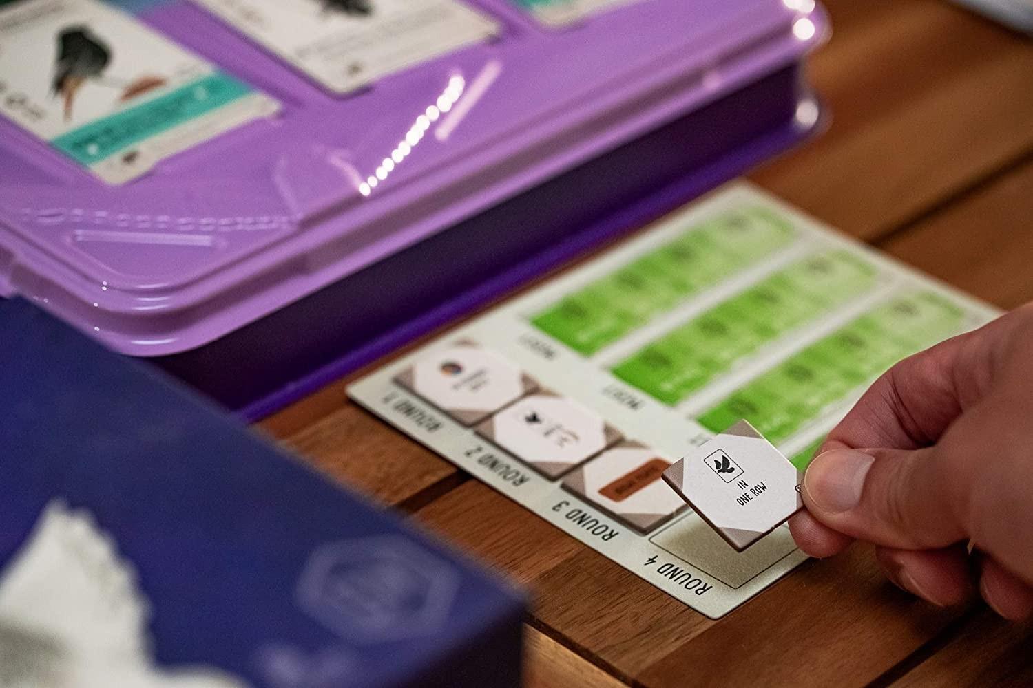 Stonemaier Games Wingspan: Europos plėtra
