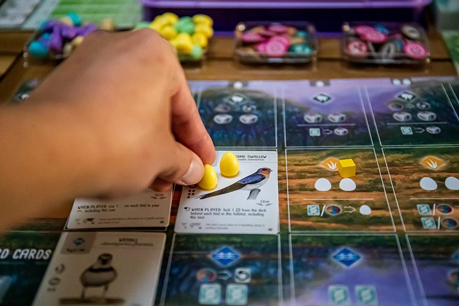 Stonemaier Games Wingspan: Oceania Expansion