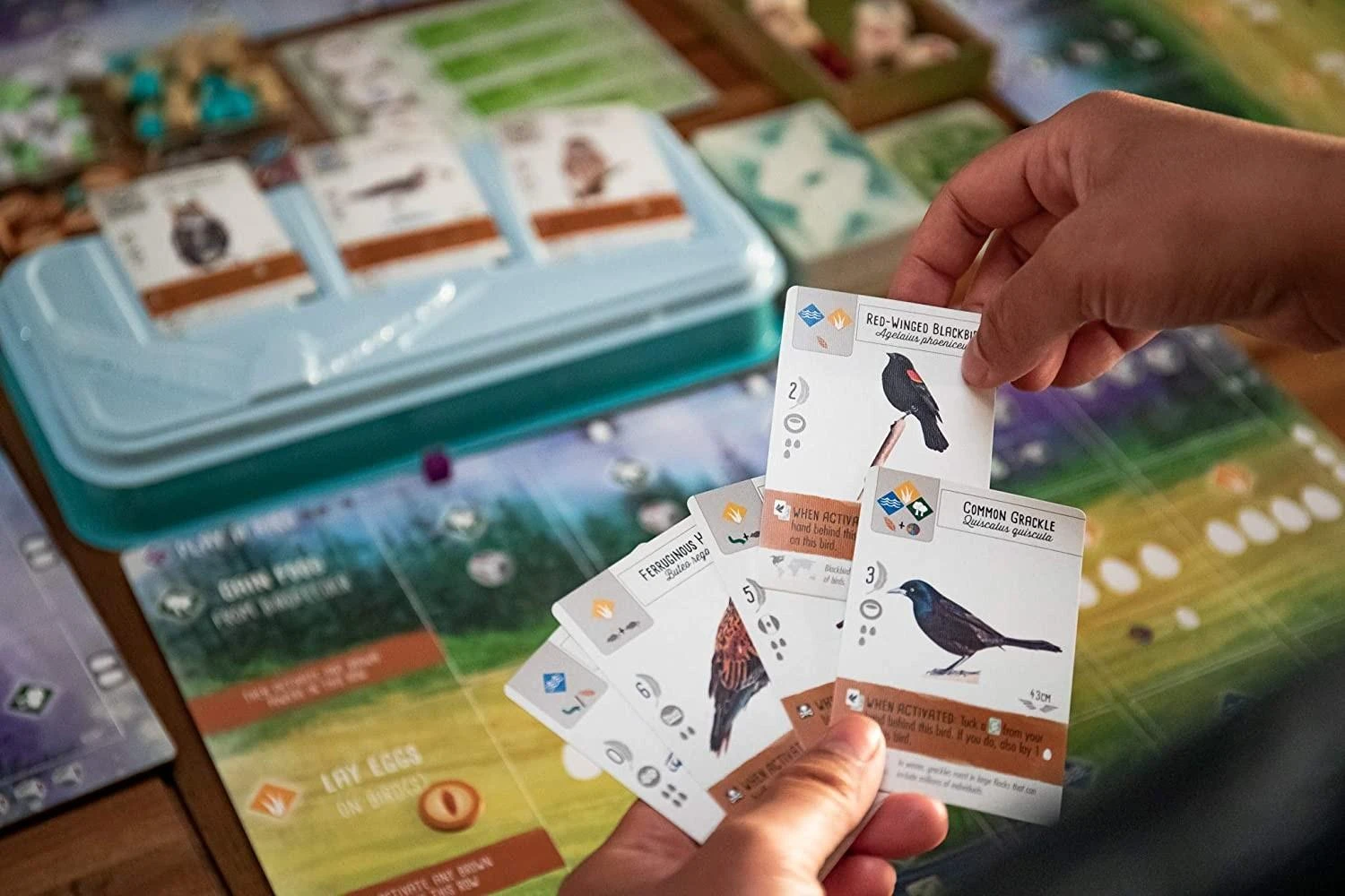 Enigma Stonemaier Games Wingspan