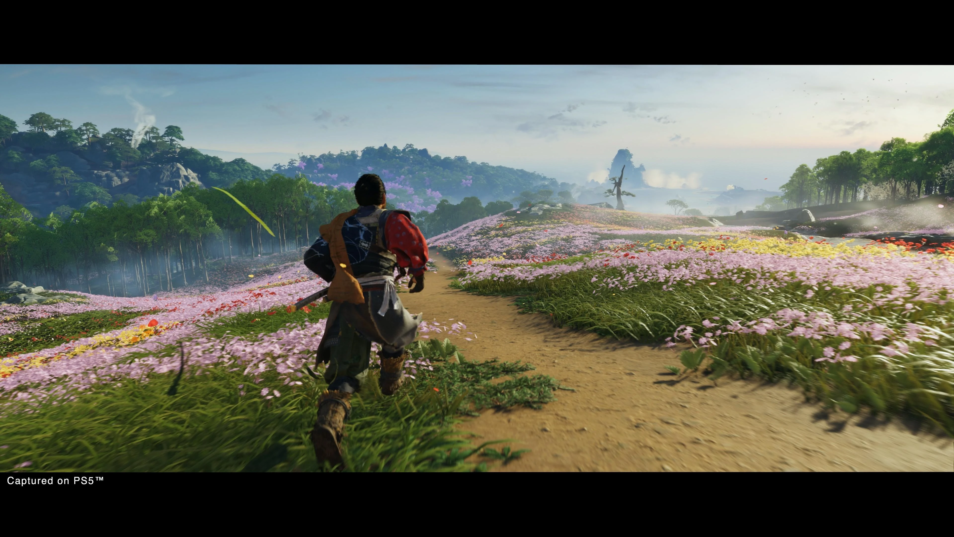 Sucker Punch Ghost of Tsushima Director’s Cut PS4