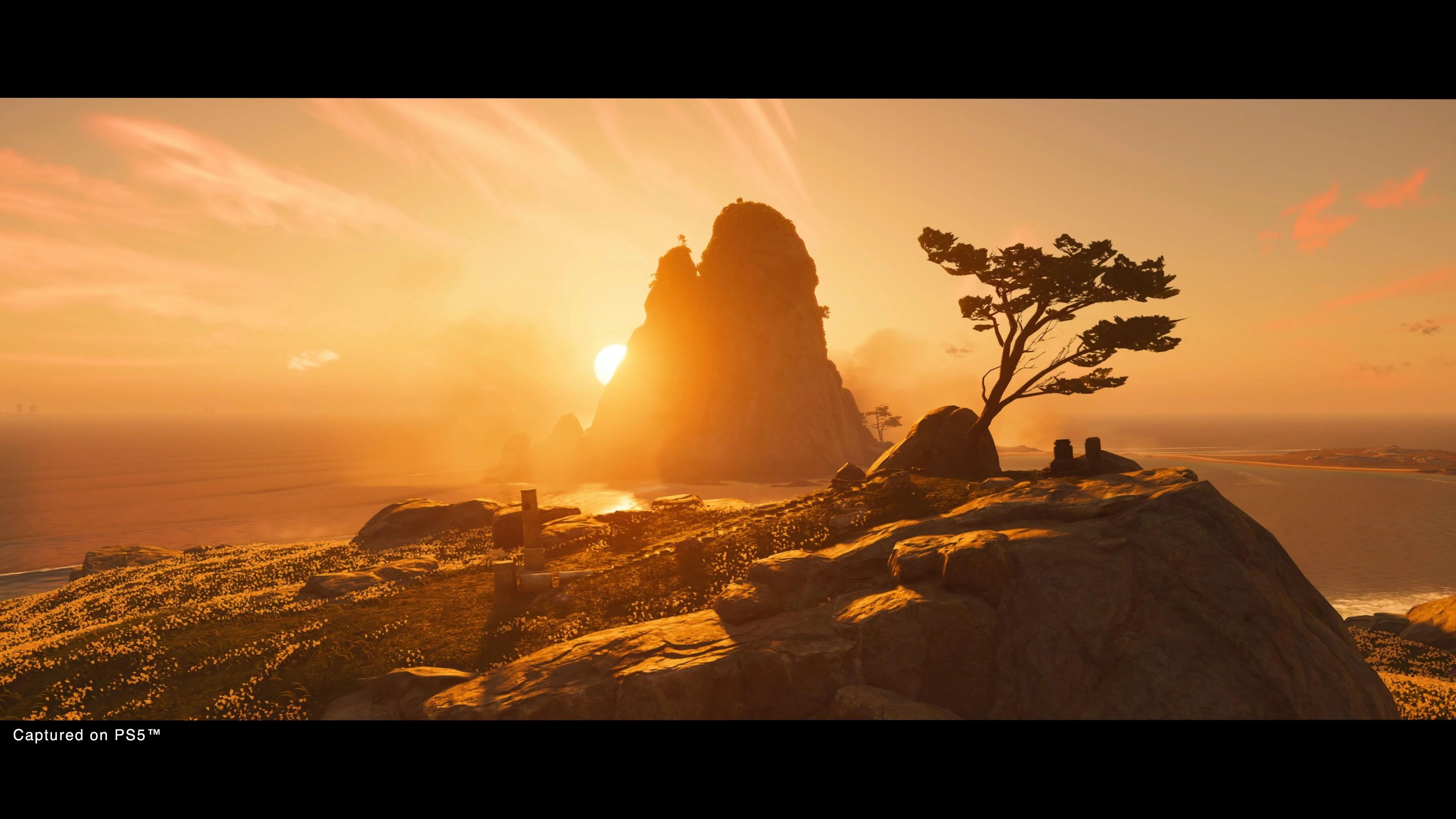 Sucker Punch Ghost of Tsushima Director’s Cut PS4