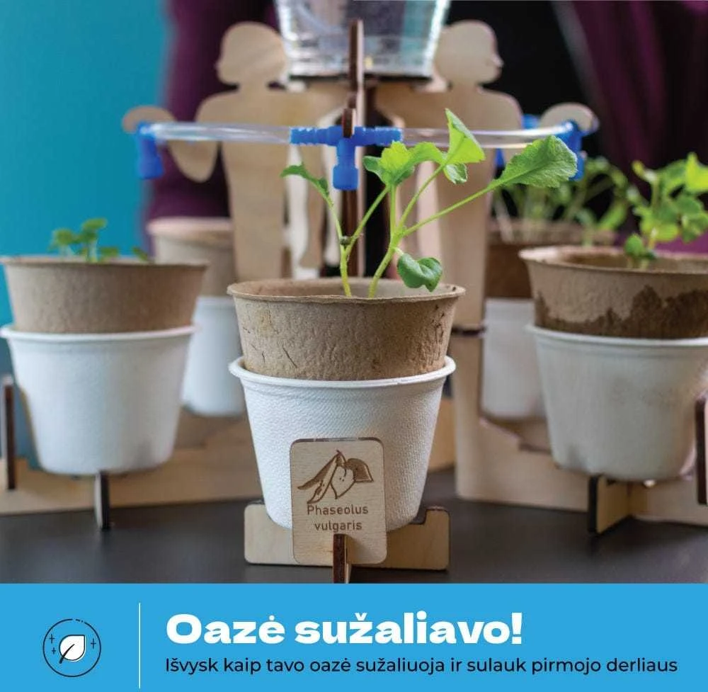 Techi Mano mažoji oazė