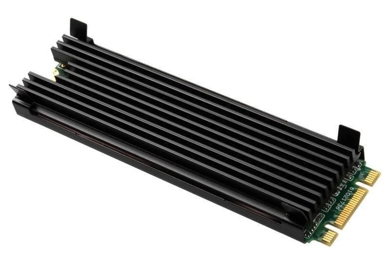 Thermal Grizzly M.2 SSD aušintuvas skirtas PC/PS5