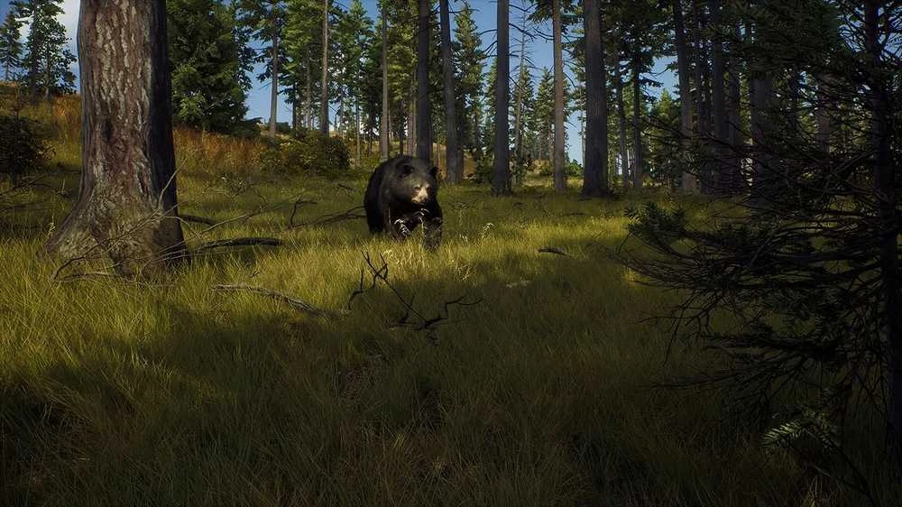 Thq Nordic Way of the Hunter PS5