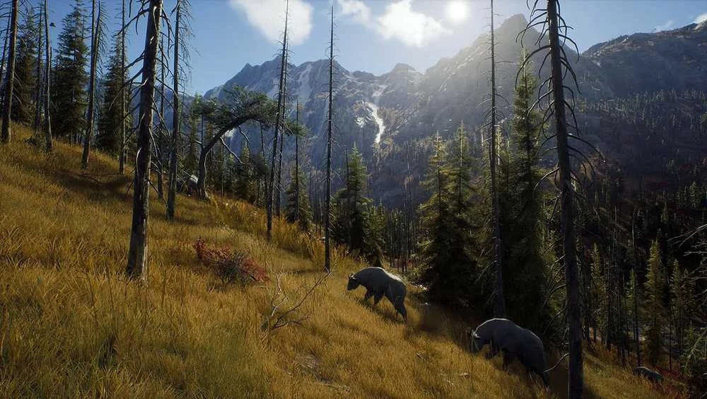 Thq Nordic Way of the Hunter PS5