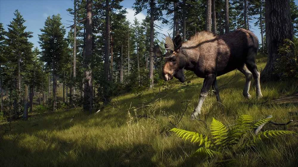 Thq Nordic Way of the Hunter PS5