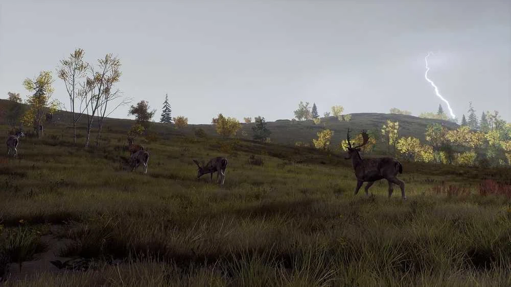 Thq Nordic Way of the Hunter - Wild Expeditions PS5